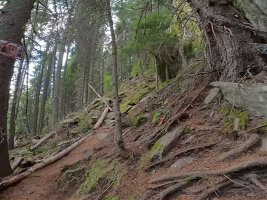 Smolyan Ormanında Mahsur Kalan İrlandalı Turist Kurtarıldı