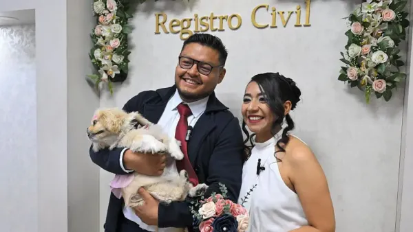 Ekvador'da Köpek Resmi Şahit Oldu