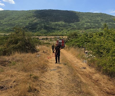 Beş itfaiye ekibi Asenovgrad yakınlarında yangınla mücadele ediyor