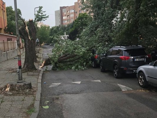 Blagoevgrad'da Kasırganın Ardından Devrilen Ağaçlar Temizleniyor, Bir Saat İçinde Yeni Güçlü Fırtına Bekleniyor