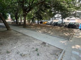 Plovdiv'de 3,5 Milyon Euro ile Yeşil Alanlar Yenileniyor: Daha Temiz Hava İçin 31 Noktada Dev Operasyon