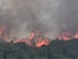 Stara Zagora Yakınlarında Büyük Yangın: Altı Ekip Müdahale Ediyor (Video)