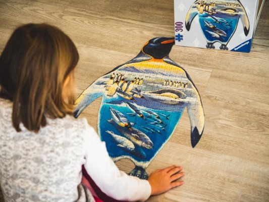 Kişiliğinize Hangi Tür Puzzle Uygun?
