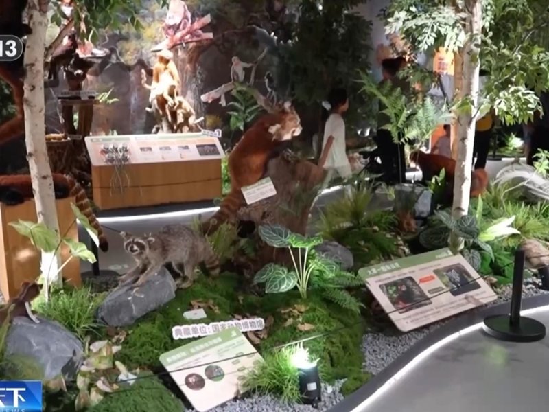 Çin, Biyolojik Çeşitliliğin Korunmasında Yeni Bilimsel Başarılarını Tanıttı