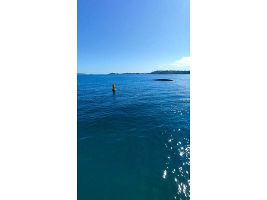 Sozopol'da Deniz Yüzeyine Çıkan Boru Şamandıra ile İşaretlendi