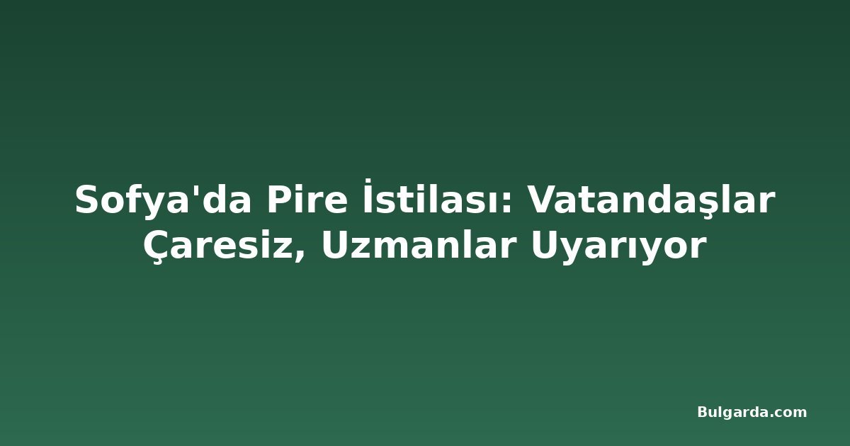 Sofya'da Pire İstilası: Vatandaşlar Çaresiz, Uzmanlar Uyarıyor