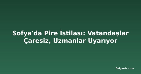Sofya'da Pire İstilası: Vatandaşlar Çaresiz, Uzmanlar Uyarıyor
