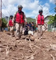 Sokak Köpeğinden Ulusal Kahramana: Tsunami Venezuela'da 13 Kişiyi Kurtardı