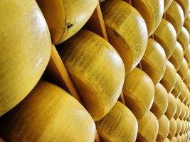 Sıcak Hava Dalgaları Parmesan Üretimini Vurdu