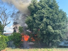 Varna'da İstasyon Bölgesinde Yangın