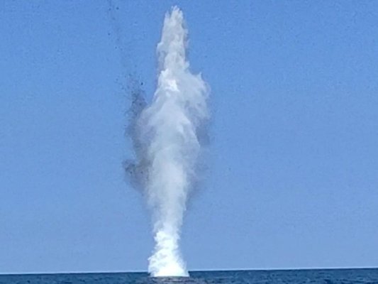 Mayın Temizleme Deniz Grubu Karadeniz'de Sürüklenen Dronu İmha Etti