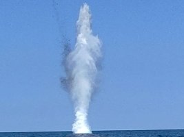 Mayın Temizleme Deniz Grubu Karadeniz'de Sürüklenen Dronu İmha Etti