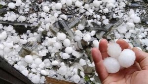 Halk Ağlıyor! Dolu Mahsulü Yok Etti, Rüzgar Seraları Söktü