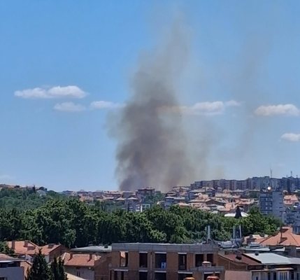 Yangının dumanı Asenovgrad'dan da görülüyor