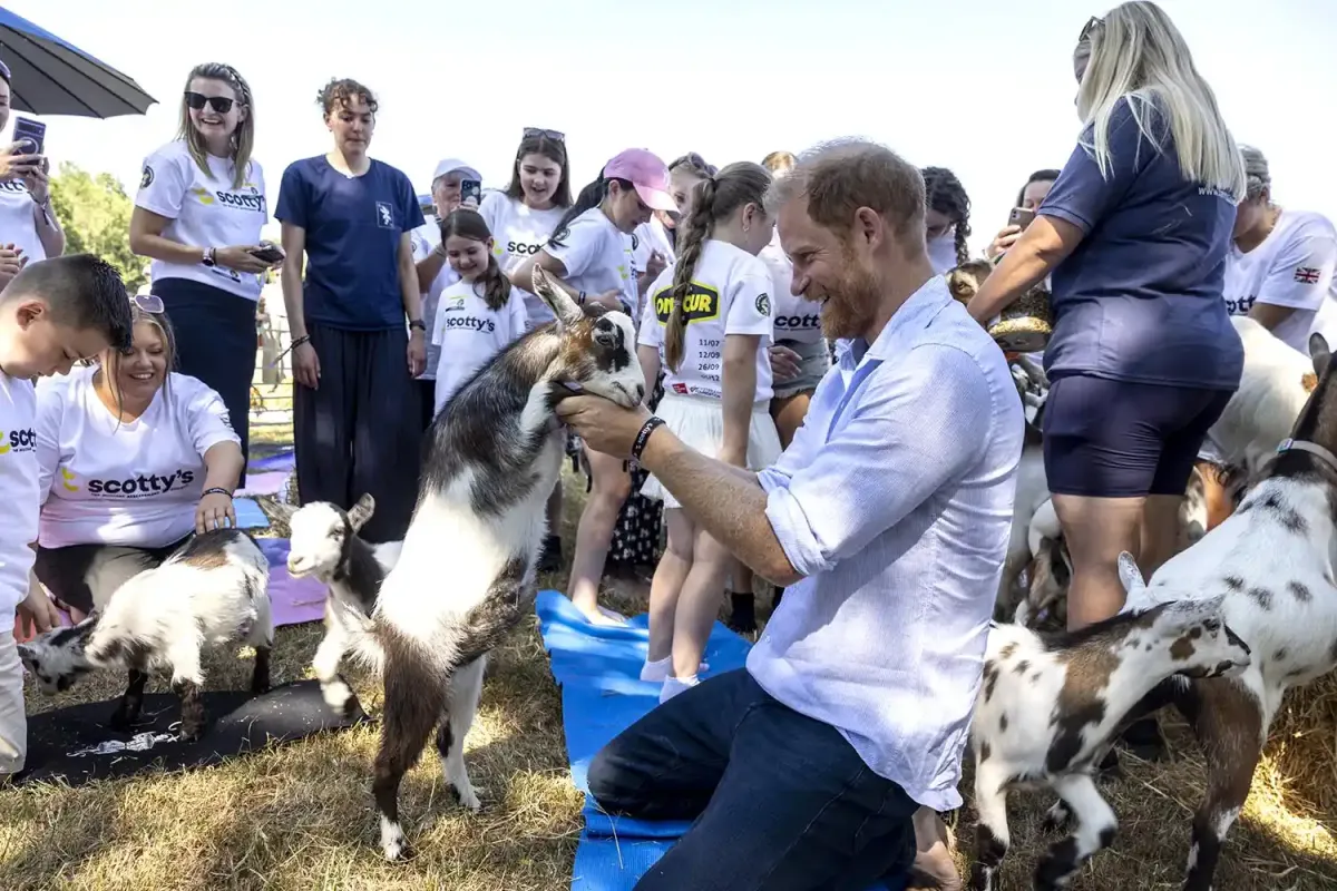 Keçi Prens Harry'nin Kasıklarına Atladı, Tepkisi Herkesi Güldürdü