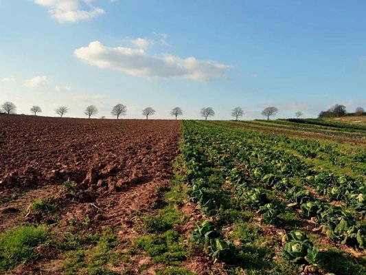 Bulgaristan'da Mevsimlik İşçilerin Çalışma İzni Süreci Kolaylaştırıldı