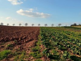 Bulgaristan'da Mevsimlik İşçilerin Çalışma İzni Süreci Kolaylaştırıldı