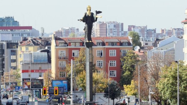 Sofya'da Tilkiler Şehre İndi, Mahalleli Tedirgin