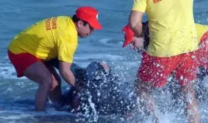 Sozopol'de Denizde Drama! 4 Yaşındaki Çocuğun Hayatı İçin Savaş Veriliyor