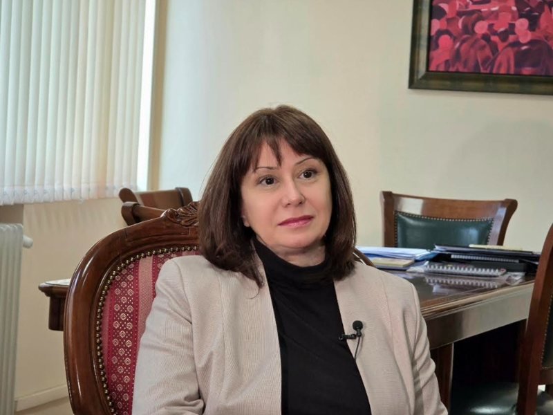 Ombudsman Delçeva: Küçük Çocuklu Aileler ve Emekliler İş Kanunu Değişikliklerinden Zarar Görecek