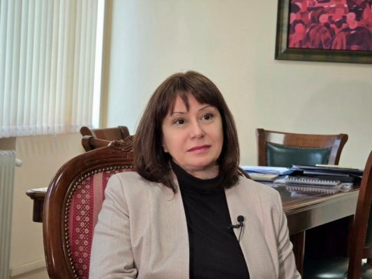 Ombudsman Delçeva: Küçük Çocuklu Aileler ve Emekliler İş Kanunu Değişikliklerinden Zarar Görecek