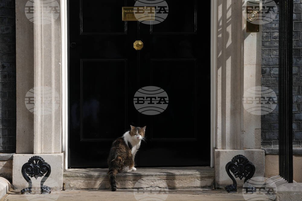Downing Street'in Kedisi Larry, Yedinci Başbakanını Karşıladı
