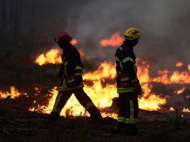 Fransa ve İspanya'daki Yangınlarda 320 Bin Kişi Tahliye Edildi