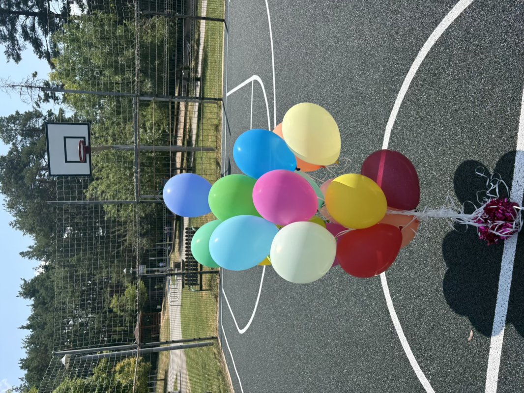 Tülbete Parkı'ndaki Basketbol Sahası Yenilendi: Sporcular İçin Konfor ve Güvenlik Arttı