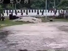 Tayland'da 11 Yaşındaki Çocuğun Kamyonu Budist Rahiplerin Arasına Daldı: 9 Ölü, 13 Yaralı