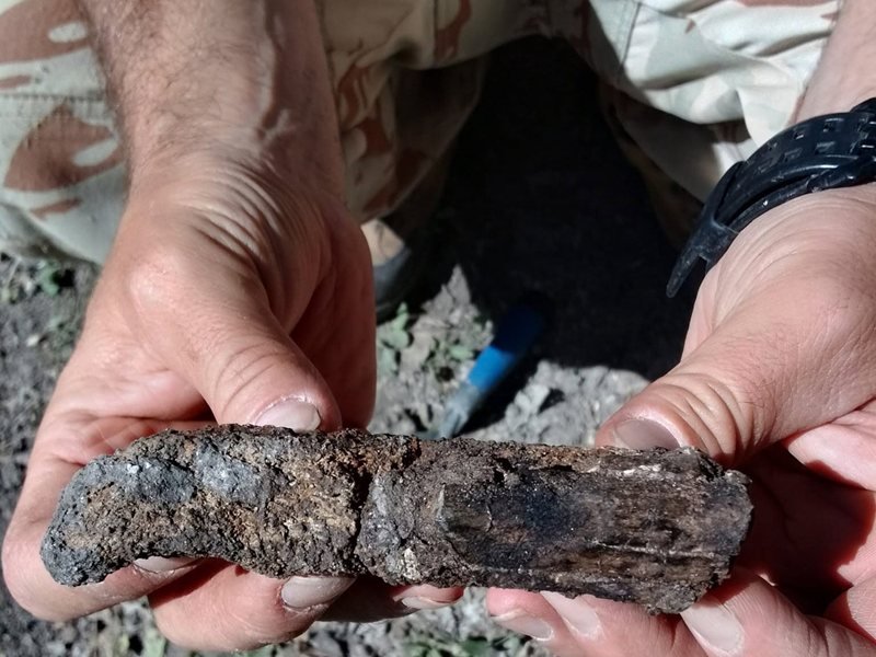 Bulgaristan'da Dinozor Fosilleri Keşfedildi