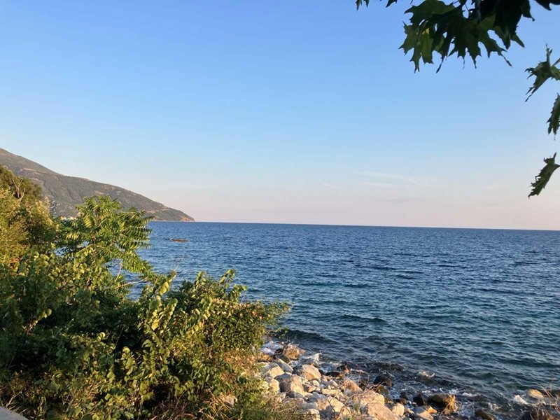 Akdeniz'de Yaklaşık 800 İstilacı Tür Kalıcı Hale Geldi