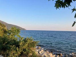 Akdeniz'de Yaklaşık 800 İstilacı Tür Kalıcı Hale Geldi