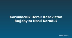 Korumacılık Dersi: Kazakistan Buğdayını Nasıl Korudu?