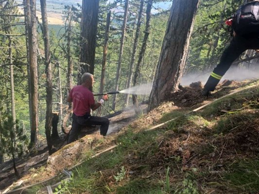 Pirin'deki Yangın Nihayet Söndürüldü
