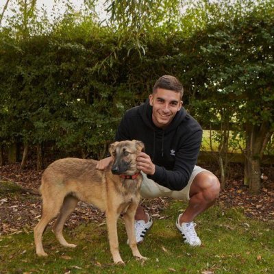 Bulgaristan'da Terk Edilen Köpek Milo, Barcelona Yıldızı Ferran Torres'in Yeni Dostu Oldu
