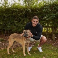 Bulgaristan'da Terk Edilen Köpek Milo, Barcelona Yıldızı Ferran Torres'in Yeni Dostu Oldu