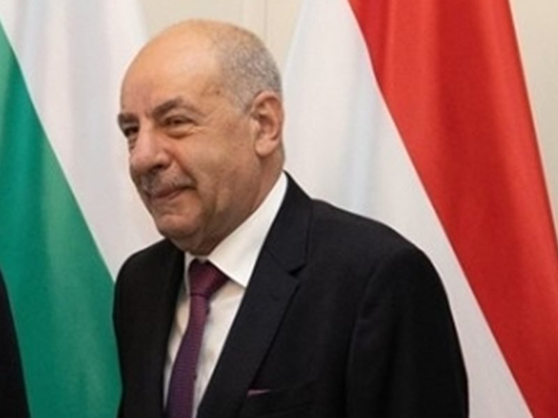 Macaristan Cumhurbaşkanı İstemeden de Olsa Kendi Görevine Son Verdi (Özet)