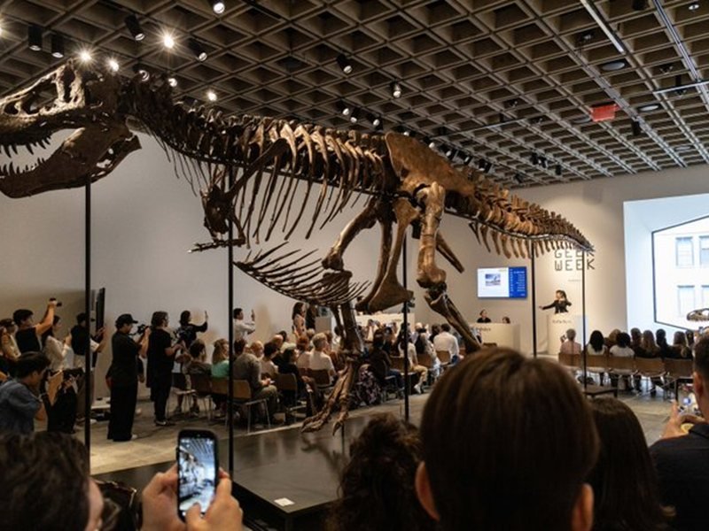T-Rex İskeleti 50,1 Milyon Dolara Satılarak Rekor Kırdı