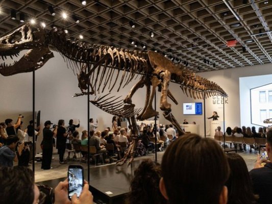 T-Rex İskeleti 50,1 Milyon Dolara Satılarak Rekor Kırdı