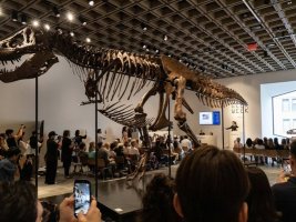 T-Rex İskeleti 50,1 Milyon Dolara Satılarak Rekor Kırdı