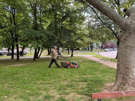 Rusçuk'ta Belediye Ekipleri Çim Biçme Çalışmalarına Devam Ediyor