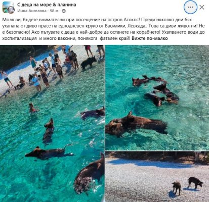 Yunan Adası Atokos'ta Türk Kadın Prase Saldırısına Uğradı