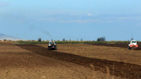 Bulgaristan'da Tarım Arazisi Fiyatlarında Düşüş