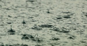 Sofya'da Sel Felaketi: AM Trakia Otoyolu Kapanıyor