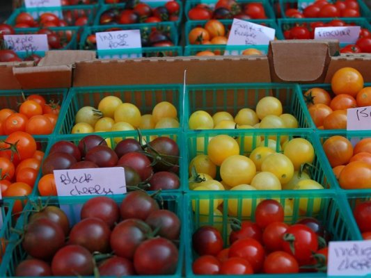 En Sağlıklı Domates Hangisi? Cherry ve Koyu Renkli Domatesler Öne Çıkıyor