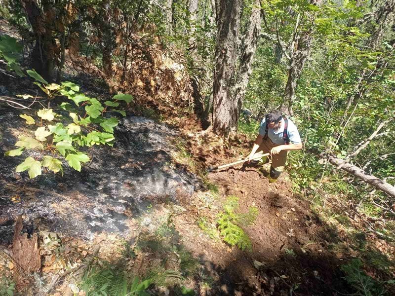 Pirin Dağı'ndaki Orman Yangınına Yıldırım Neden Oldu