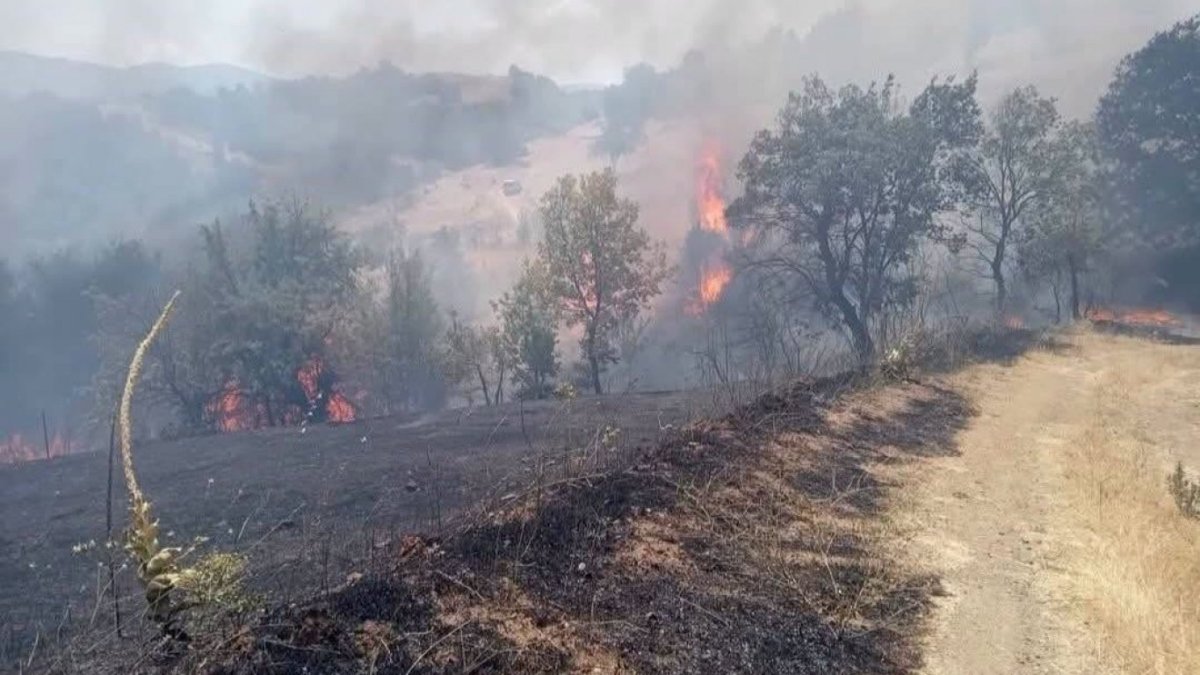 Acil Durum: Struma Otoyolu Yakınlarında Büyük Yangın, Hava Ambulansı Sevk Edildi