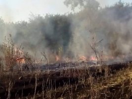 Strelça'ya Bağlı Köyde Kuru Ot Yangını Özel Mülklere Sıçradı