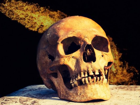 ABD'deki En Büyük Barajda İnsan Çene Kemişleri Bulundu