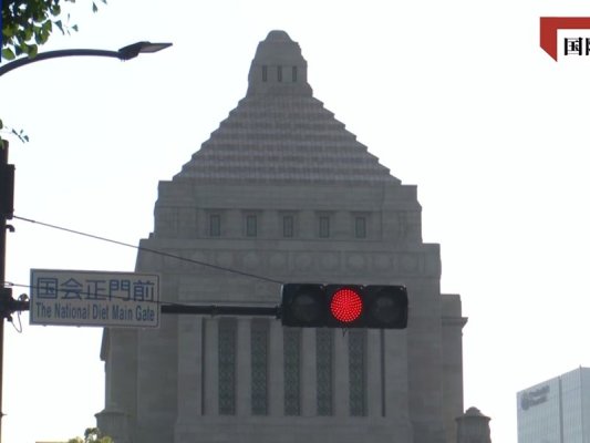 Japonya'nın Yeni Askeri Siyaseti Uluslararası Toplumu Rahatsız Ediyor